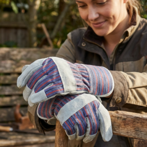 등천장갑(C급, 청)